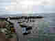 wp5cdb511b.jpg