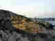 wp8001cb55.jpg