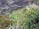 wp958f639f.jpg