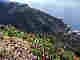 wp9a38c858.jpg