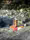 wpa43e512d.jpg