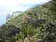 wpd10d814b.jpg