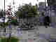 wpeb26694d.jpg