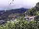 wpf72a382f.jpg